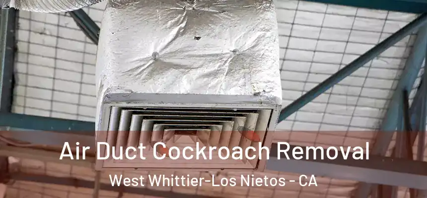  Air Duct Cockroach Removal West Whittier-Los Nietos - CA
