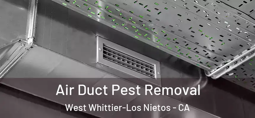 Air Duct Pest Removal West Whittier-Los Nietos - CA