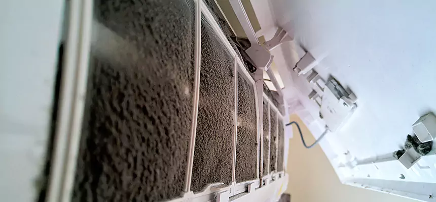 Preventive Air Duct Bacteria Removal in West Whittier-Los Nietos