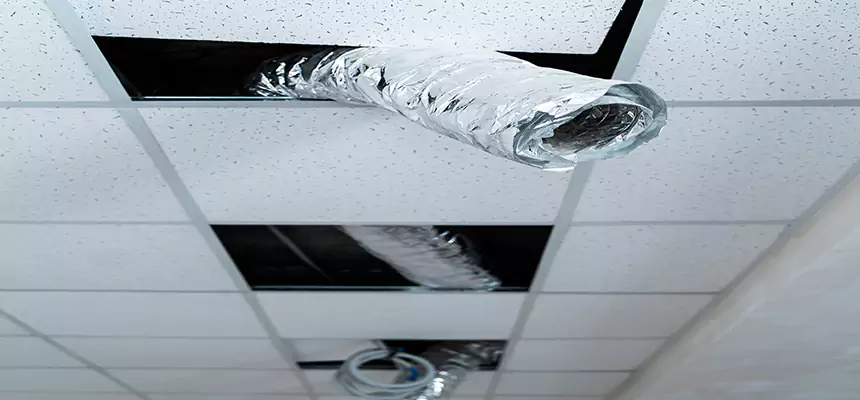 Our Air Duct Pet Hair Removal Services in West Whittier-Los Nietos, CA