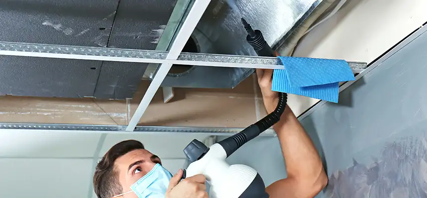 Our Air Duct Rodent Removal Services in West Whittier-Los Nietos, CA