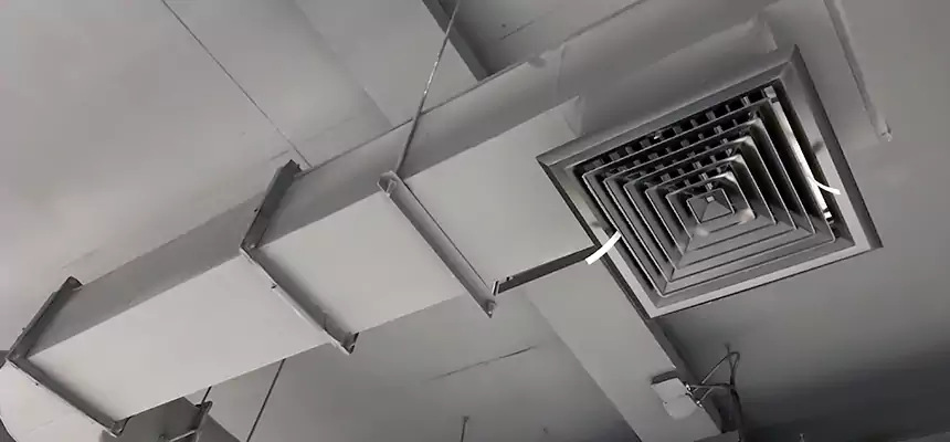 Our Pest Removal From Ducts Services in West Whittier-Los Nietos, CA