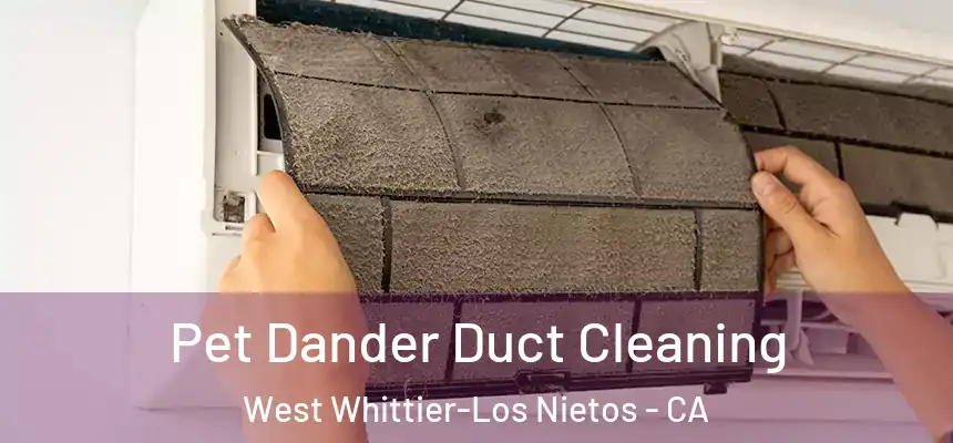  Pet Dander Duct Cleaning West Whittier-Los Nietos - CA