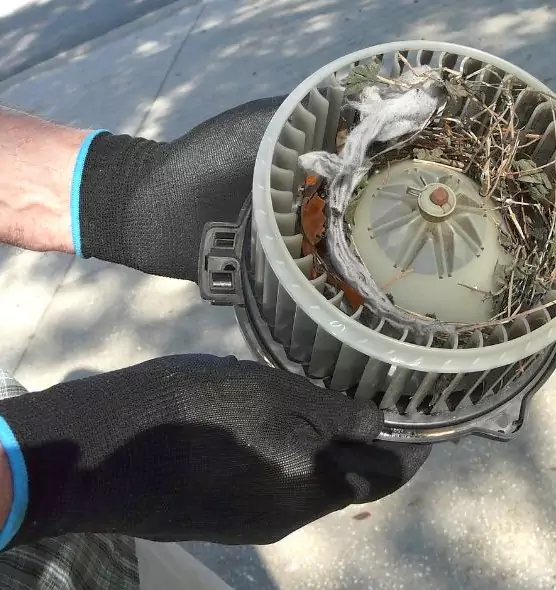 About Air Duct Mice Removal in West Whittier-Los Nietos, CA