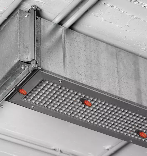 Affordable Insect Removal from Air Ducts in West Whittier-Los Nietos, CA