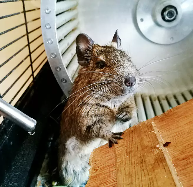 Why Homeowners & Businesses Trust Us West Whittier-Los Nietos, CA?