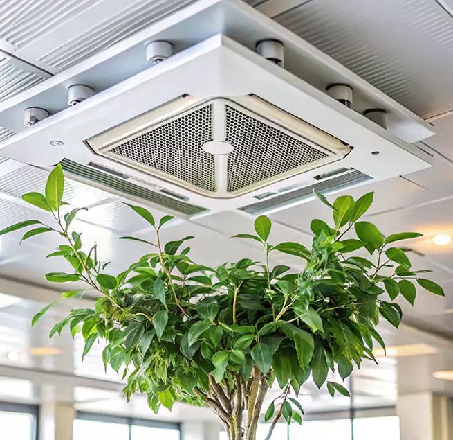 Why Homeowners & Businesses Trust Us in West Whittier-Los Nietos, CA